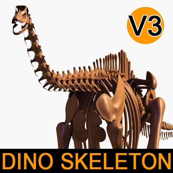 skeleton diplodocus