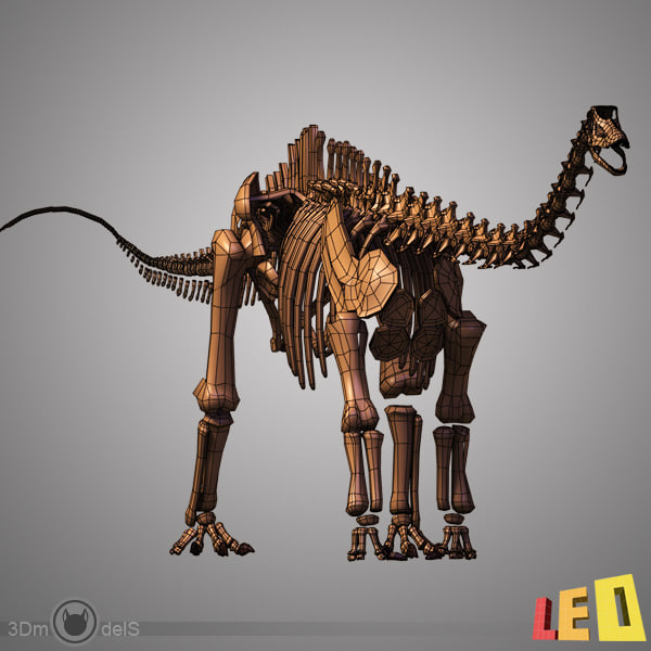 skeleton diplodocus