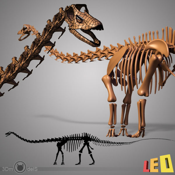 skeleton diplodocus