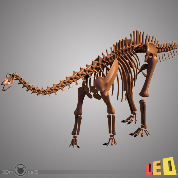 skeleton diplodocus