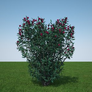 3d plant flowers model