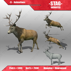 3d model stag animations