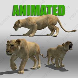 3d lioness animations model