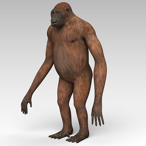 3d orangutan