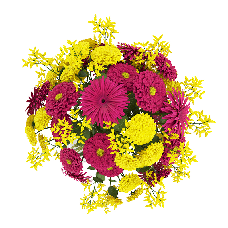 volume 26 flowers ii 3d max https://static.turbosquid.com/Preview/2014/07/09__02_04_03/vol26_vray.jpg16686874-697a-4603-8912-9a3d85c12202Original.jpg