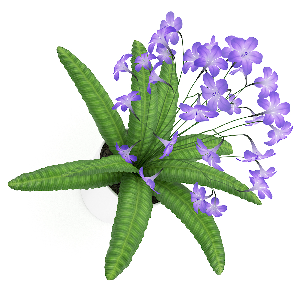 volume 26 flowers ii 3d max https://static.turbosquid.com/Preview/2014/07/09__02_04_03/vol26_vray.jpg16686874-697a-4603-8912-9a3d85c12202Original.jpg