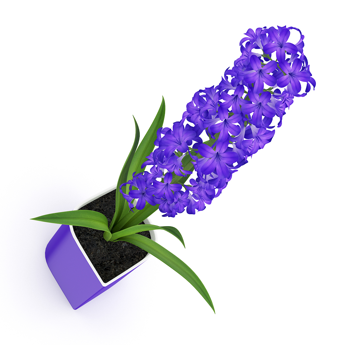 volume 26 flowers ii 3d max https://static.turbosquid.com/Preview/2014/07/09__02_04_03/vol26_vray.jpg16686874-697a-4603-8912-9a3d85c12202Original.jpg