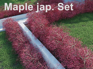 3ds max japanese maple set
