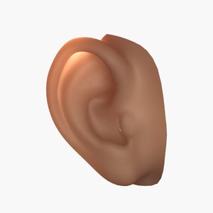 3d model ear