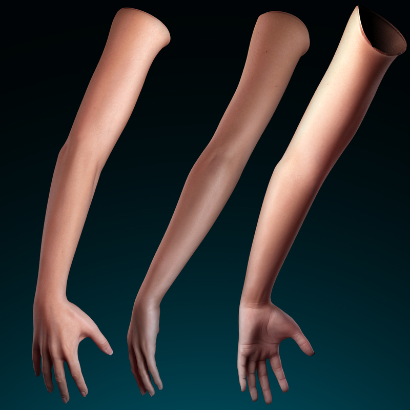 3dsmax female arm