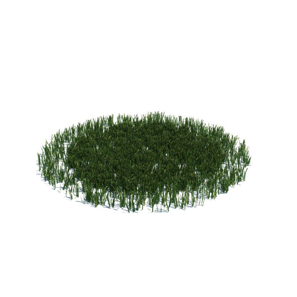 archmodels vol 126 grass 3d model