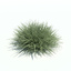 archmodels vol 126 grass 3d model
