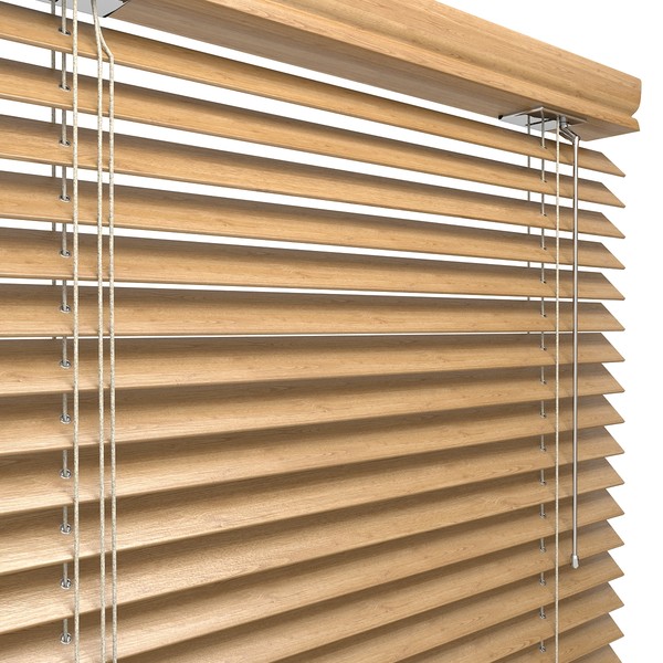 3d blinds model