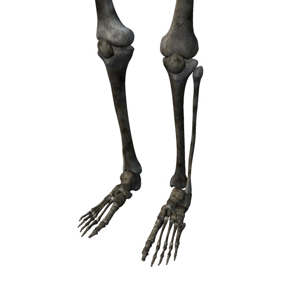 skeletoes