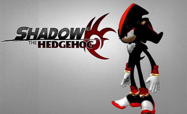 The hedgehog shadow Shadow the