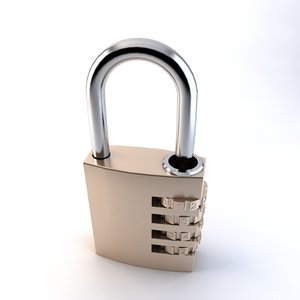 padlock lock max