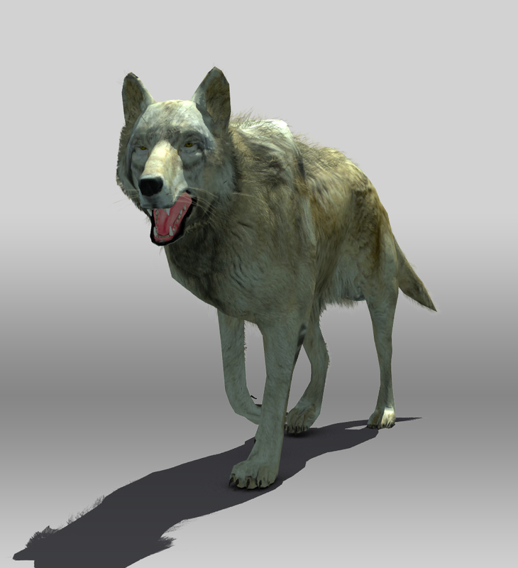 timber wolf 3d model