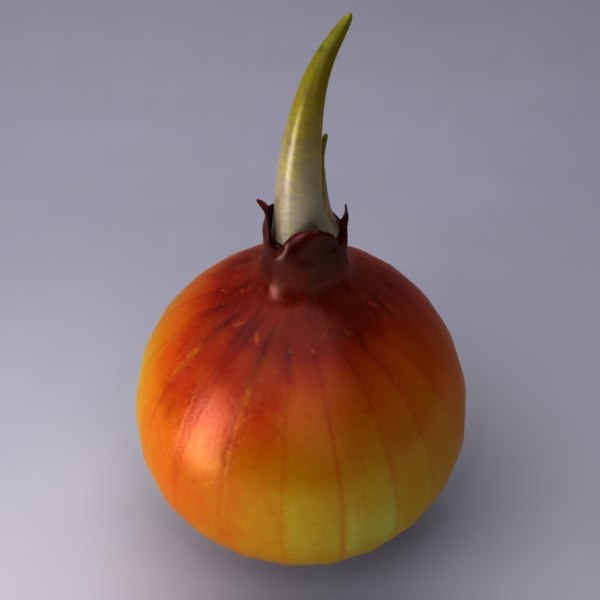 Onion Shell Model 3d model onion
