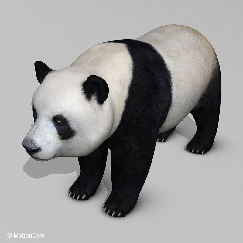 realistic panda 3d model