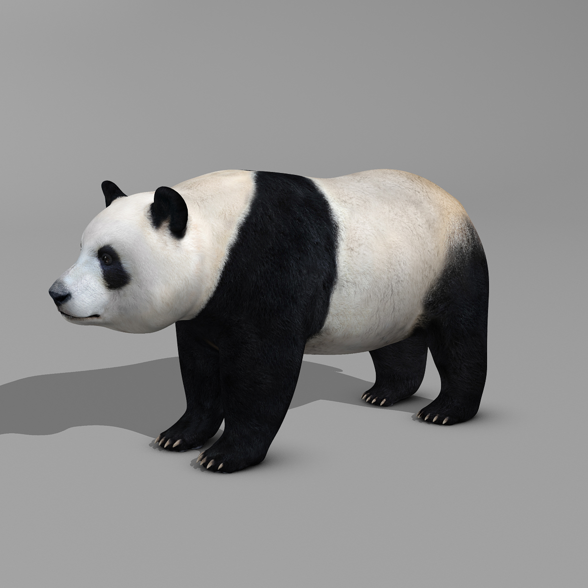 realistic panda 3d model