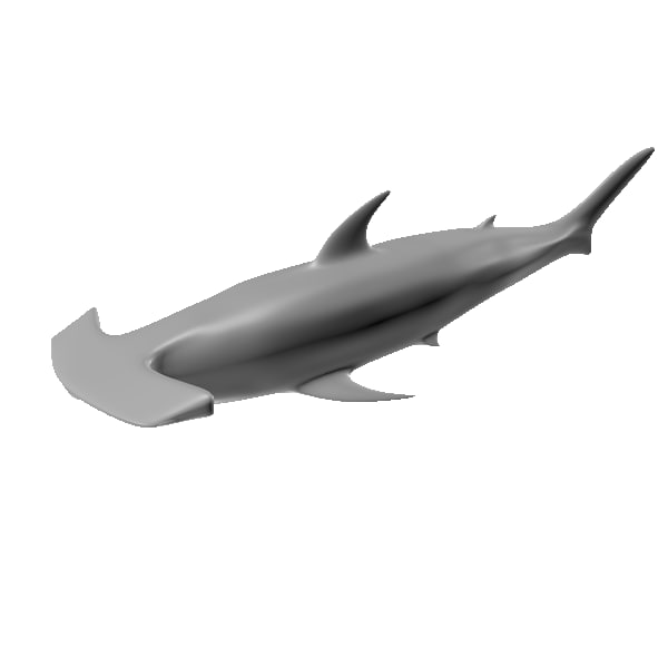 hammerhead shark 3ds