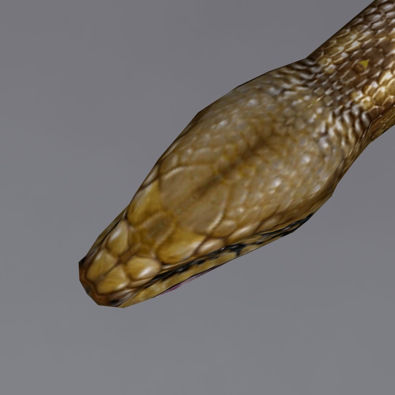 3d python model