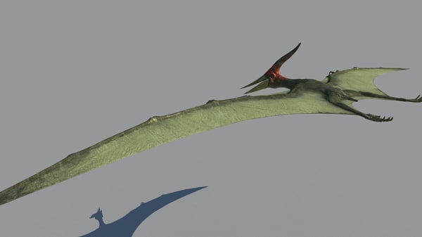 3d pterodon model