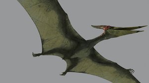 3d pterodon model