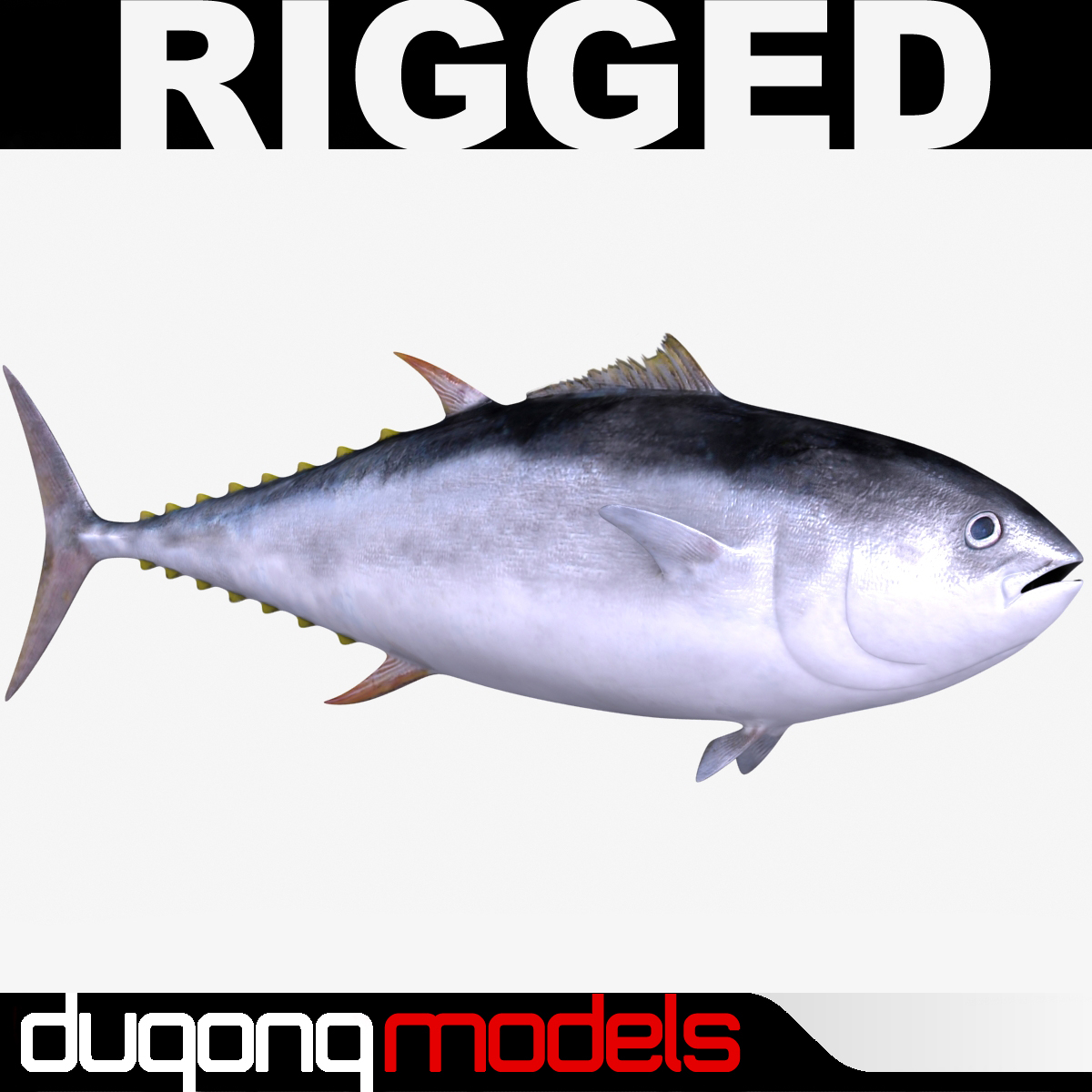 dugm02 giant bluefin tuna 3d model