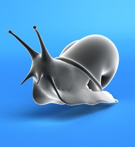 slug snail 3d model