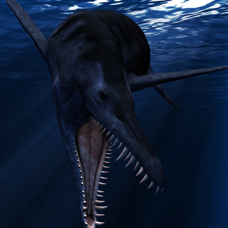 Liopleurodon 3d Model