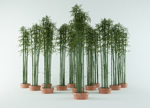 bamboo bush 3d model