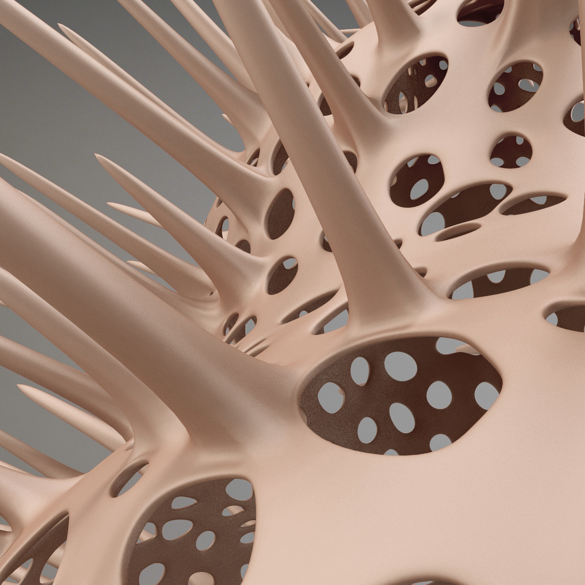 3d model ernst microscopic creatures cyrtoidea