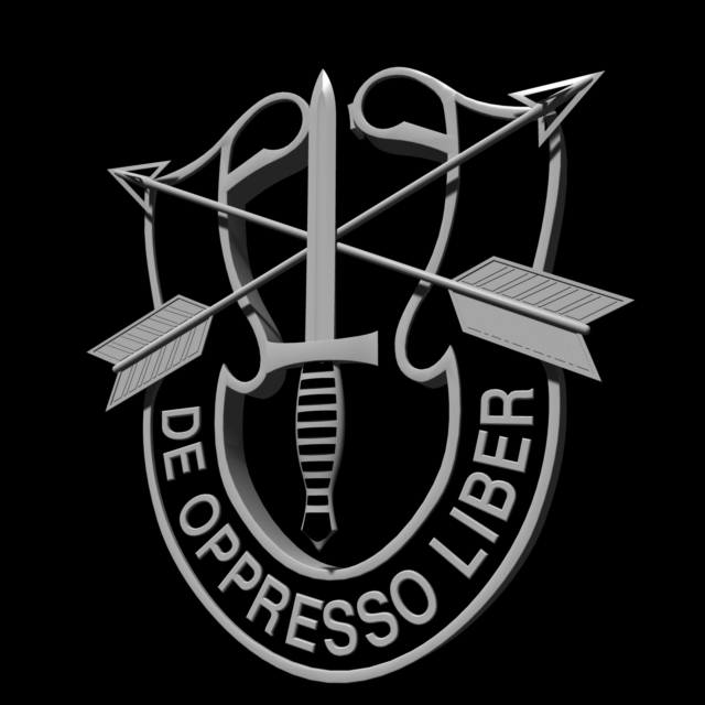 3d special forces insignia