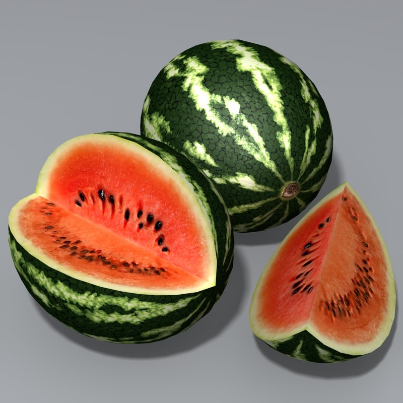 modelo 3d Sandía TurboSquid 726185