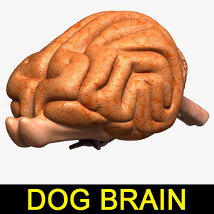 dog brain 3d 3ds