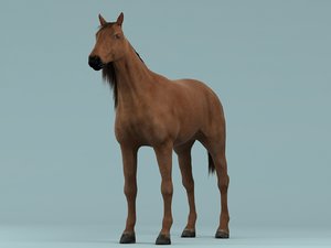horse hair 3d model