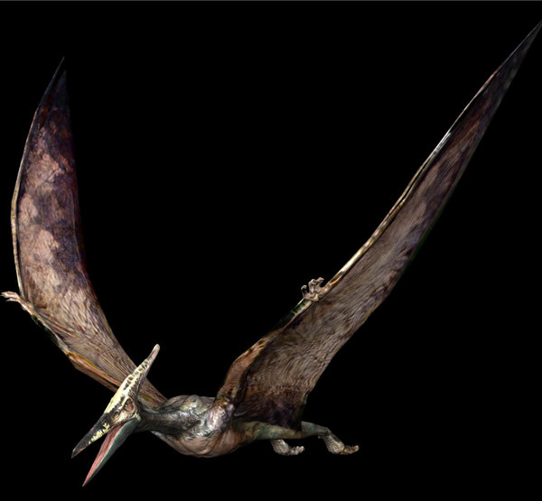 jurassic park 3 pterodactyl