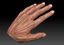 obj realistic male hand