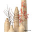3d set wooden vases