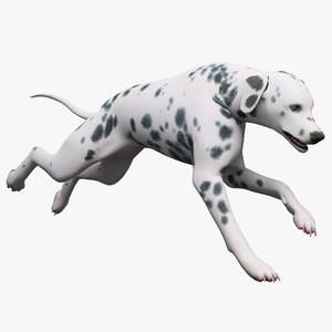 3d model of dalmatian dog pose