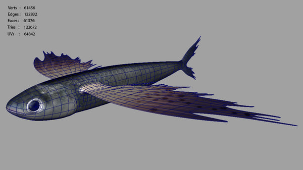 obj exocoetus flying fishes