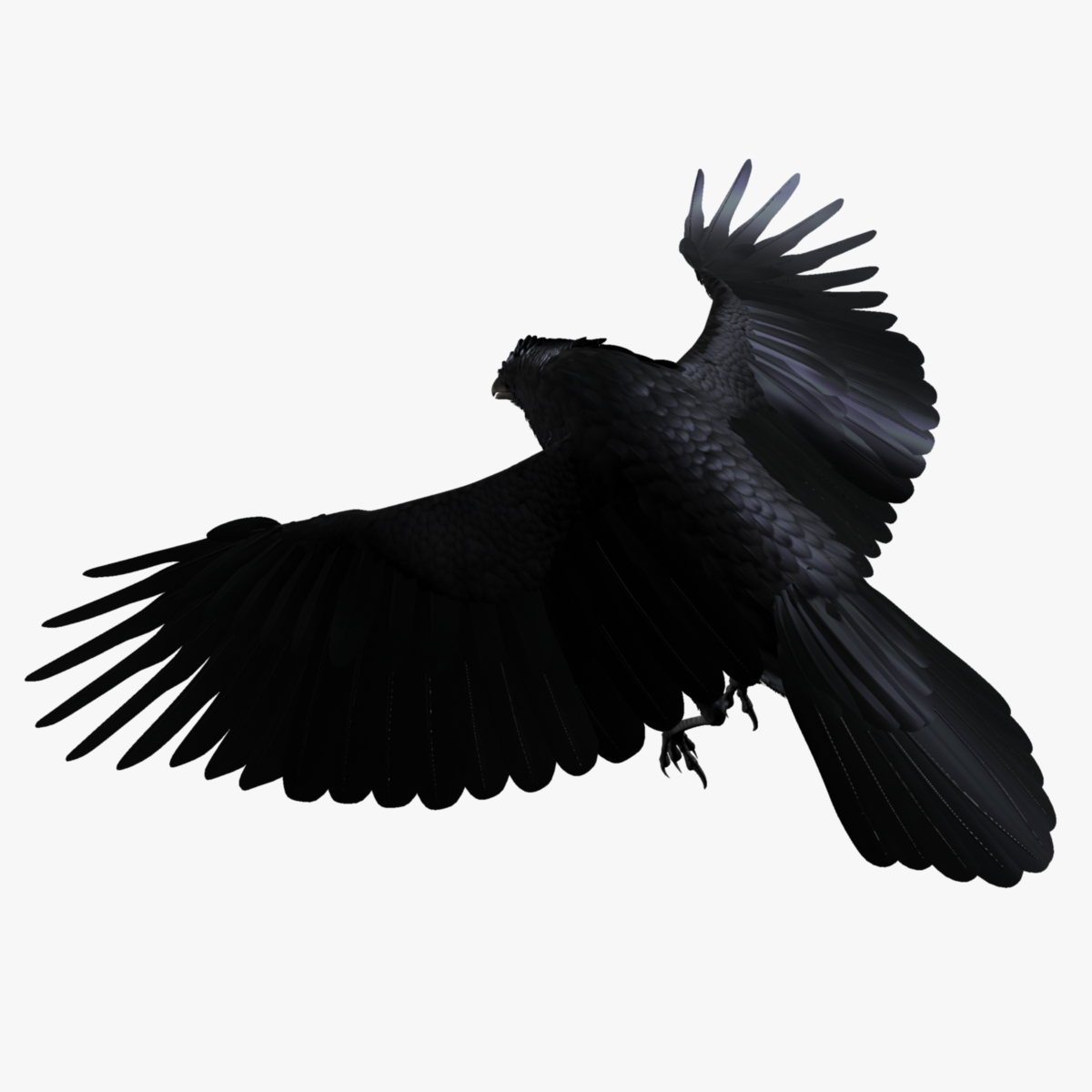 realistic raven 3d ma