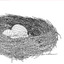 3d bird s nest model