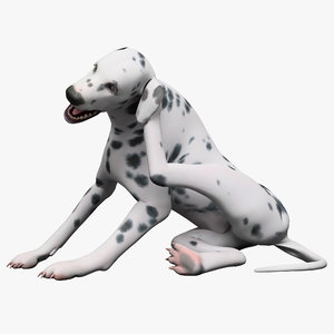 dalmatian dog pose 3d model