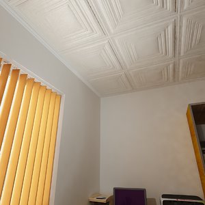 max ceiling cover pvc
