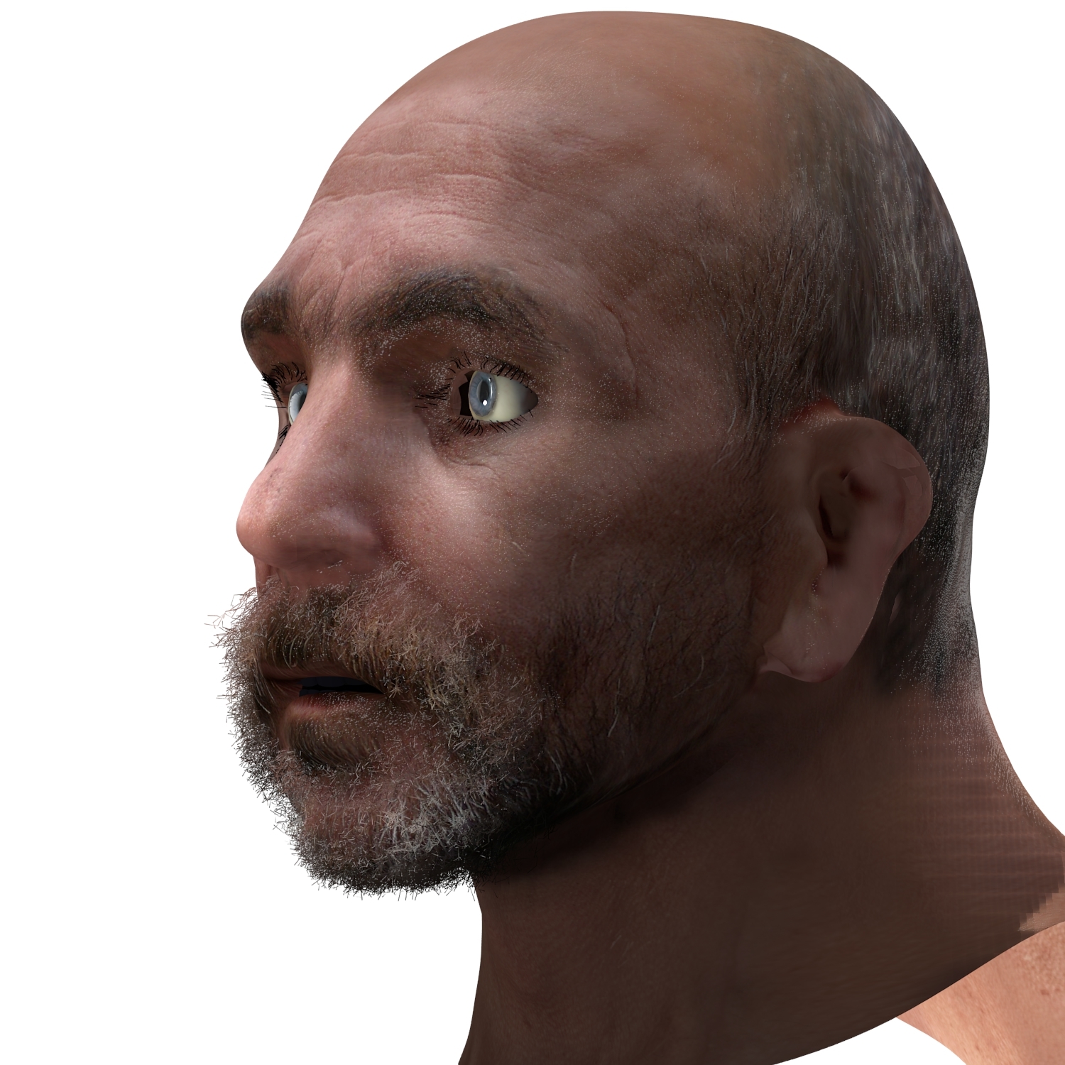 blend rigged male head