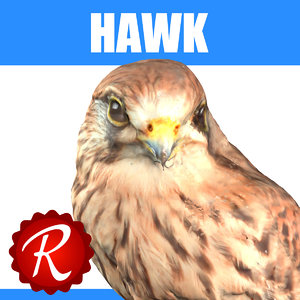 hawk 3d max