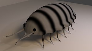 free roly bug pill 3d model