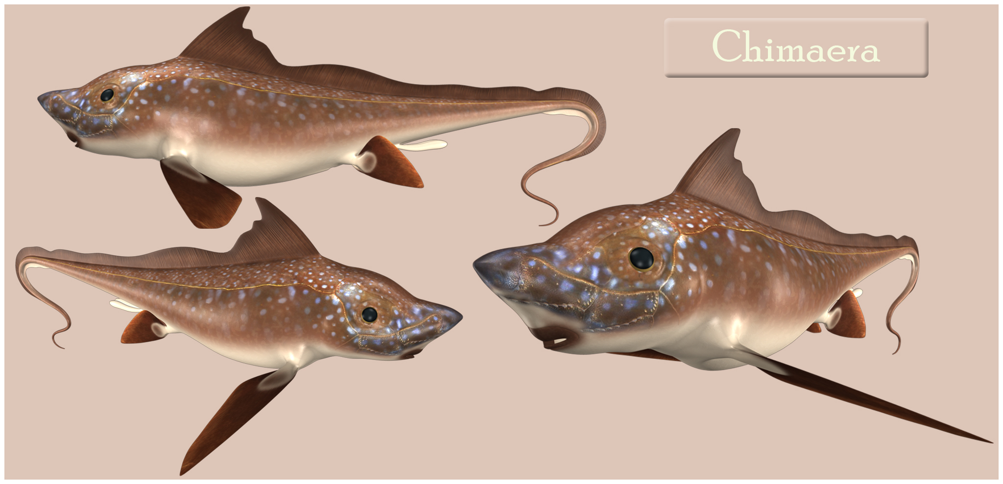 chimara obj